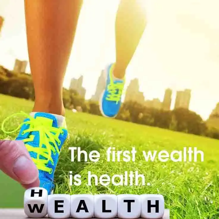 Health Is Wealth Essay Article