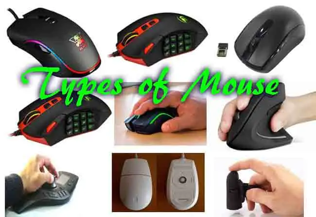 Types of Mouse