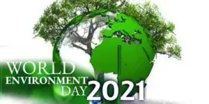Environmental Day influence