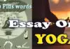 Essay about yoga in English 1000 Plus words