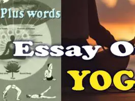 Essay about yoga in English 1000 Plus words