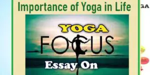 Important-of-Yoga-IviewPakistan