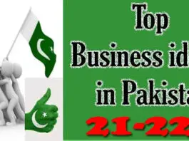 Top Business in Pakistan 2021 IviewPakistan