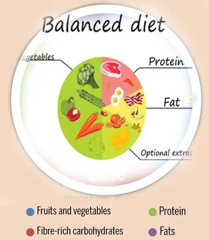 balanced-diet-chart Weight Lose Diet
